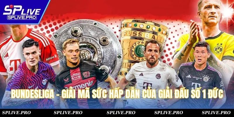Bundesliga - Giải Mã Sức Hấp Dẫn Của Giải Đấu Số 1 Nước Đức