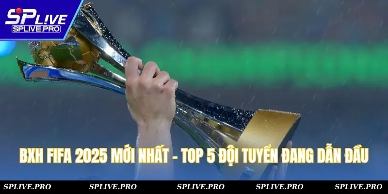 BXH FIFA 2025 Mới Nhất - Top 5 Đội Tuyển Đang Dẫn Đầu