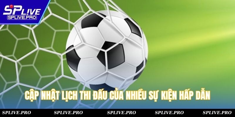 Cập nhật những yếu tố ảnh hưởng đến tỷ lệ cược