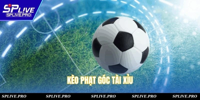 Kèo phạt góc tài xỉu