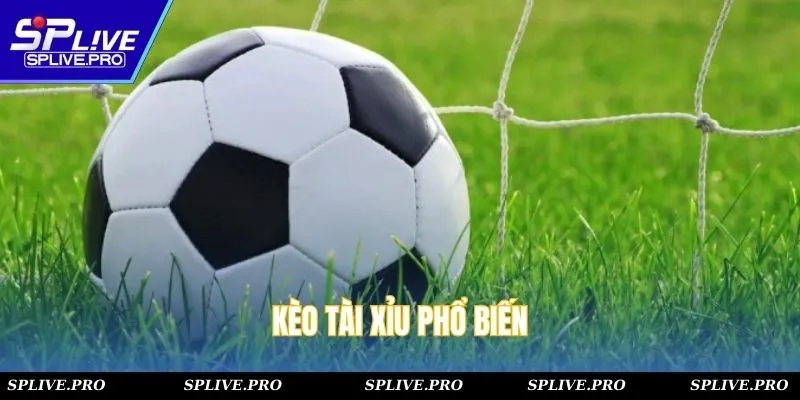 Kèo tài xỉu phổ biến