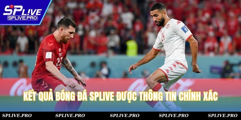 Kết quả bóng đá SPLIVE được thông tin chính xác