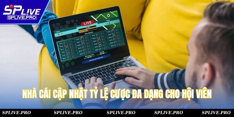 Nhà cái cập nhật tỷ lệ cược đa dạng cho hội viên