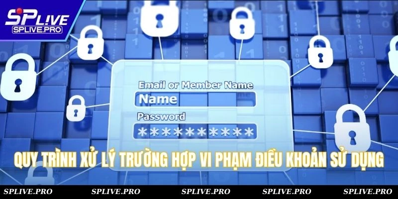 Quy trình xử lý trong trường hợp vi phạm điều khoản sử dụng