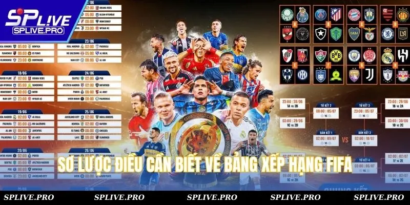 Sơ lược điều cần biết về bảng xếp hạng FIFA
