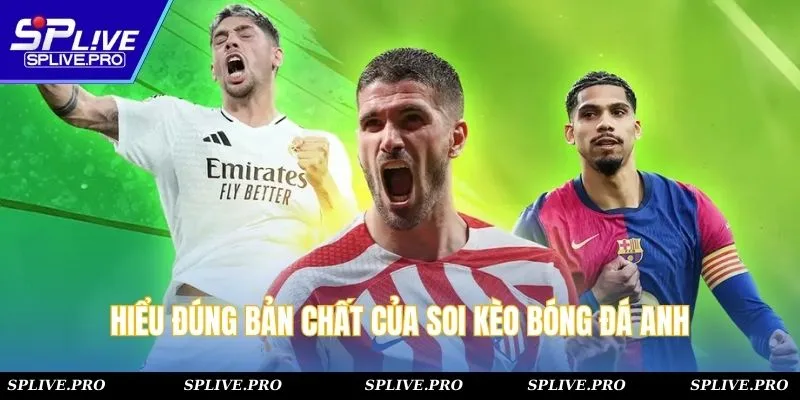 Hiểu đúng bản chất của soi kèo bóng đá Anh