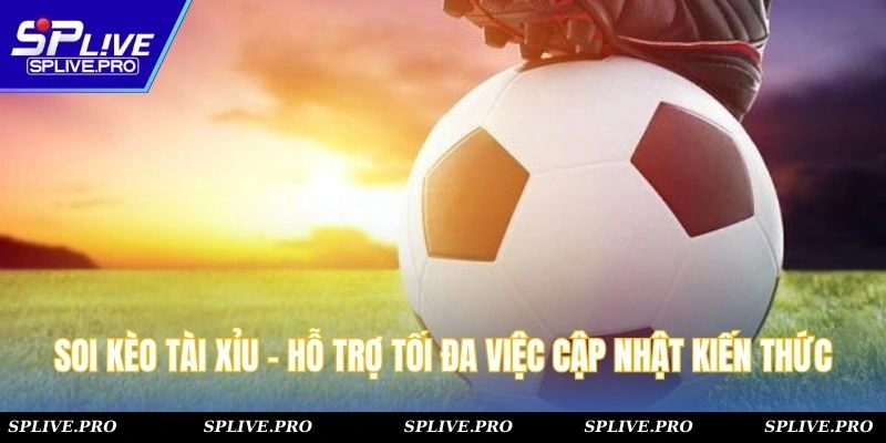 Soi Kèo Tài Xỉu - Hỗ Trợ Tối Đa Việc Cập Nhật Kiến Thức