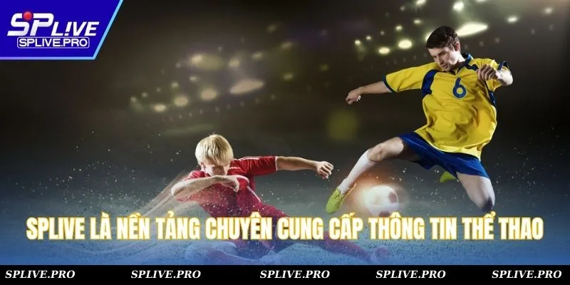 SPLIVE là nền tảng chuyên cung cấp thông tin thể thao 