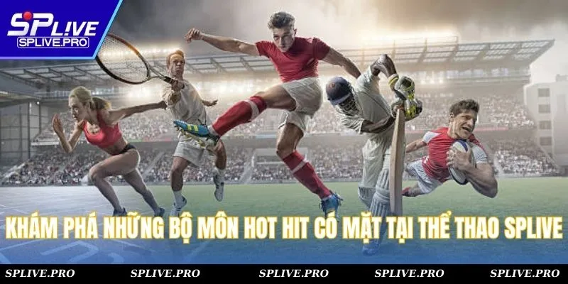 Khám phá những bộ môn hot hit có mặt tại thể thao SPLIVE