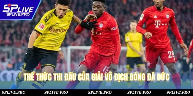 Thể thức thi đấu của giải vô địch bóng đá Đức