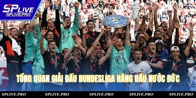 Tổng quan giải đấu Bundesliga hàng đầu nước Đức