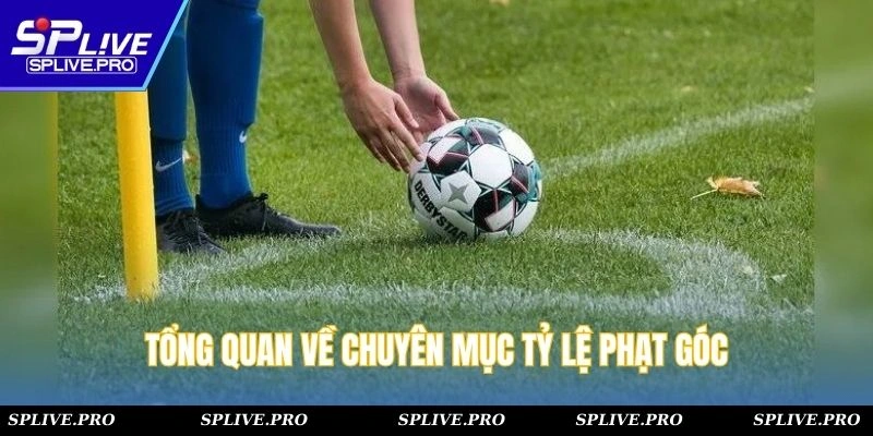 Tổng quan về chuyên mục tỷ lệ phạt góc