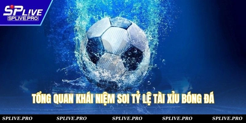 Tổng quan khái niệm soi tỷ lệ tài xỉu bóng đá